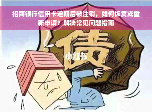 招商银行信用卡逾期后被注销，如何恢复或重新申请？解决常见问题指南