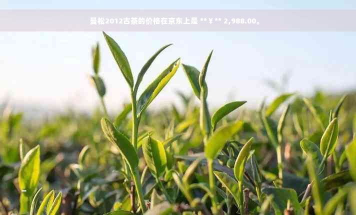 曼松2012古茶的价格在京东上是 **￥** 2,988.00。 