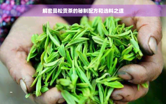 解密曼松贡茶的秘制配方和选料之道