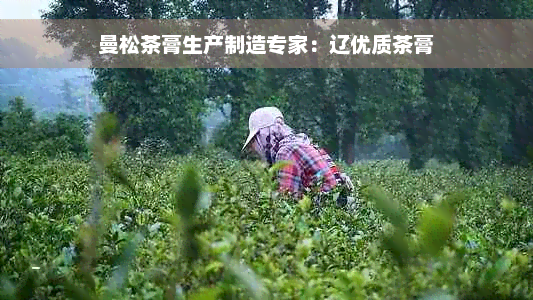 曼松茶膏生产制造专家：辽优质茶膏