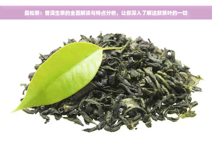 曼松茶：普洱生茶的全面解读与特点分析，让你深入了解这款茶叶的一切