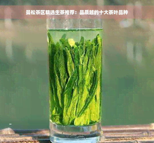 曼松茶区精选生茶推荐：品质越的十大茶叶品种