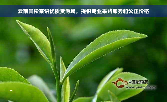 云南曼松茶饼优质货源场，提供专业采购服务和公正价格