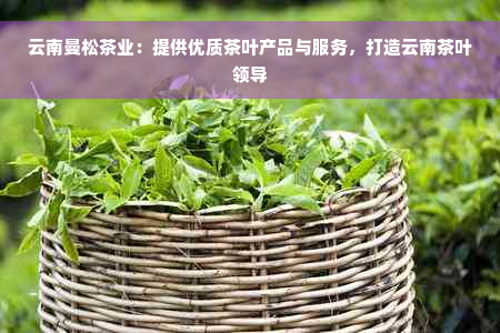 云南曼松茶业：提供优质茶叶产品与服务，打造云南茶叶领导