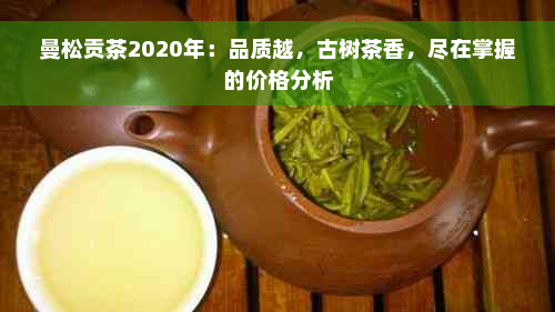 曼松贡茶2020年：品质越，古树茶香，尽在掌握的价格分析