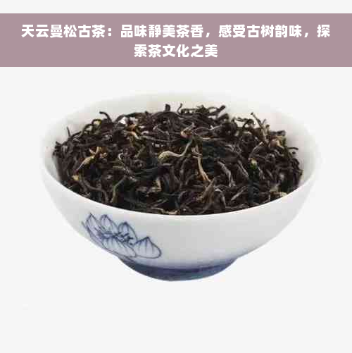 天云曼松古茶：品味静美茶香，感受古树韵味，探索茶文化之美