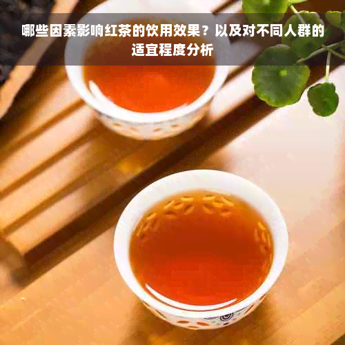 哪些因素影响红茶的饮用效果？以及对不同人群的适宜程度分析