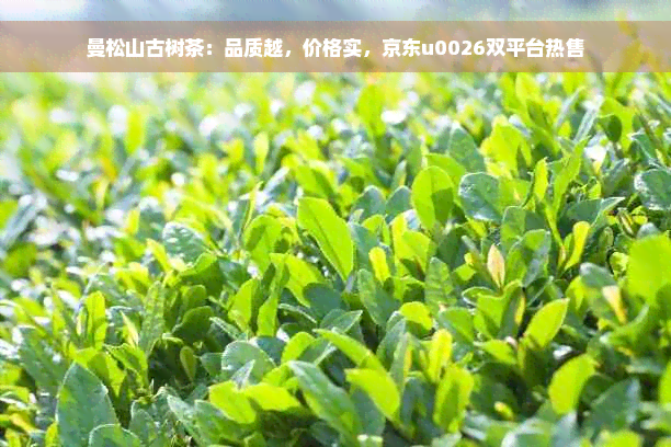 曼松山古树茶：品质越，价格实，京东u0026双平台热售