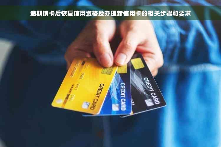 逾期销卡后恢复信用资格及办理新信用卡的相关步骤和要求