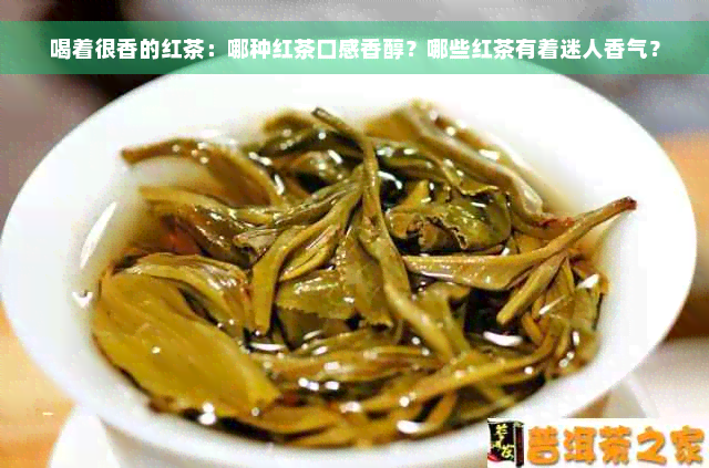 喝着很香的红茶：哪种红茶口感香醇？哪些红茶有着迷人香气？