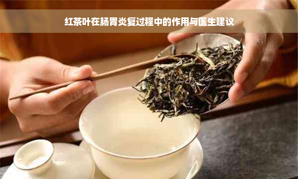 红茶叶在肠胃炎复过程中的作用与医生建议
