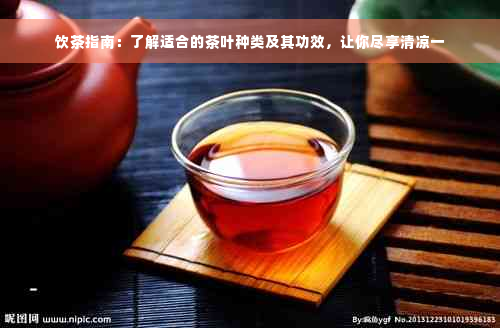 饮茶指南：了解适合的茶叶种类及其功效，让你尽享清凉一