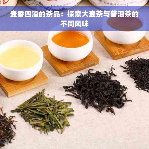 麦香四溢的茶品：探索大麦茶与普洱茶的不同风味