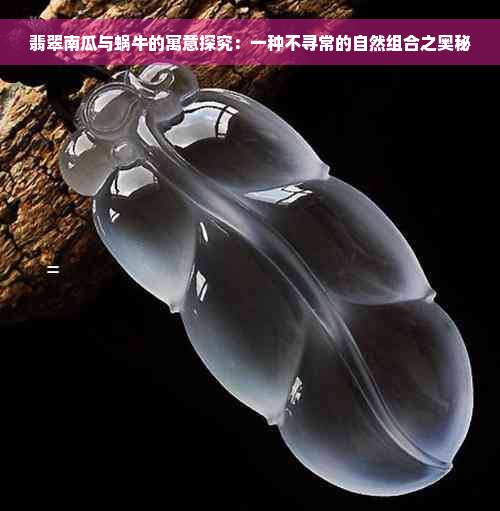翡翠南瓜与蜗牛的寓意探究：一种不寻常的自然组合之奥秘