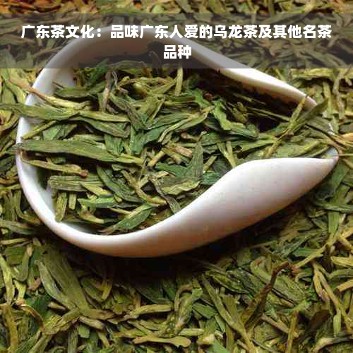 广东茶文化：品味广东人爱的乌龙茶及其他名茶品种