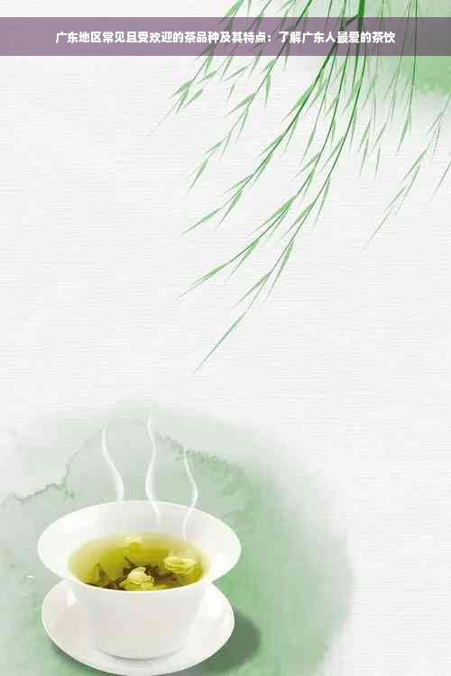 广东地区常见且受欢迎的茶品种及其特点：了解广东人更爱的茶饮