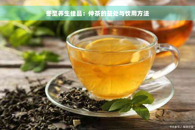 冬至养生佳品：仲茶的益处与饮用方法