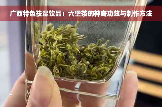 广西特色祛湿饮品：六堡茶的神奇功效与制作方法