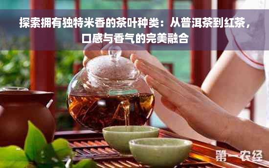 探索拥有独特米香的茶叶种类：从普洱茶到红茶，口感与香气的完美融合