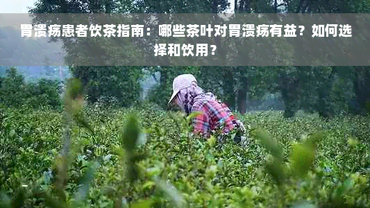 胃溃疡患者饮茶指南：哪些茶叶对胃溃疡有益？如何选择和饮用？