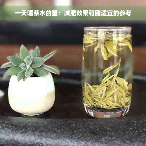 一天喝茶水的量：减肥效果和健适宜的参考