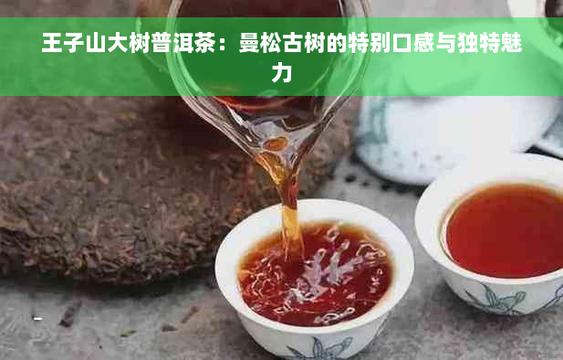 王子山大树普洱茶：曼松古树的特别口感与独特魅力