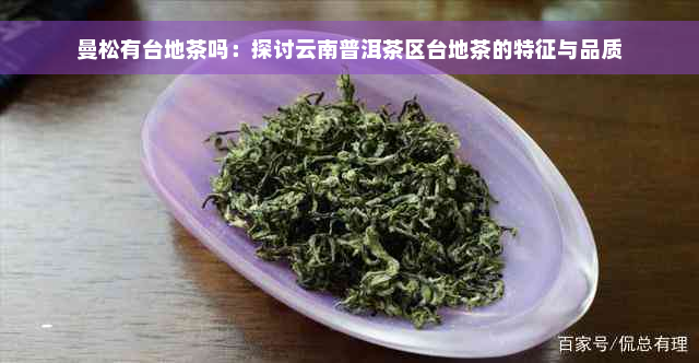 曼松有台地茶吗：探讨云南普洱茶区台地茶的特征与品质