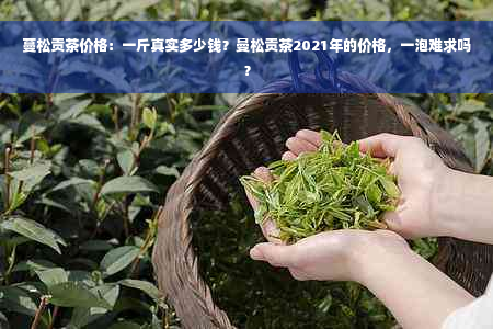 蔓松贡茶价格：一斤真实多少钱？曼松贡茶2021年的价格，一泡难求吗？