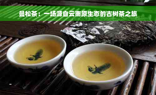 曼松茶：一场源自云南原生态的古树茶之旅
