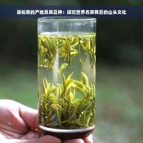 曼松茶的产地及其品种：探究世界名茶背后的山头文化