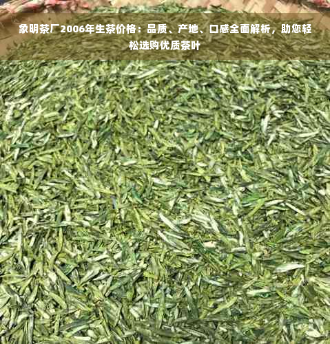 象明茶厂2006年生茶价格：品质、产地、口感全面解析，助您轻松选购优质茶叶