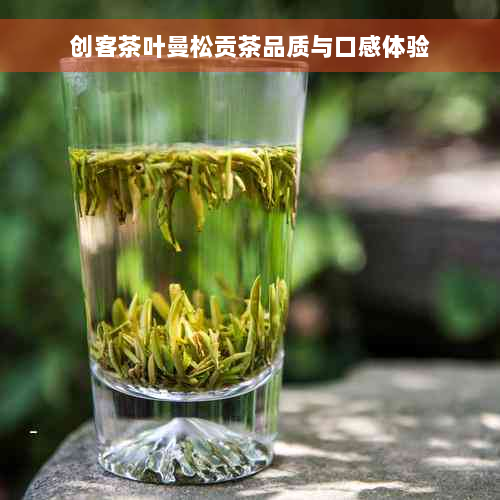 创客茶叶曼松贡茶品质与口感体验