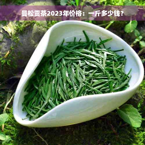 曼松贡茶2023年价格：一斤多少钱？