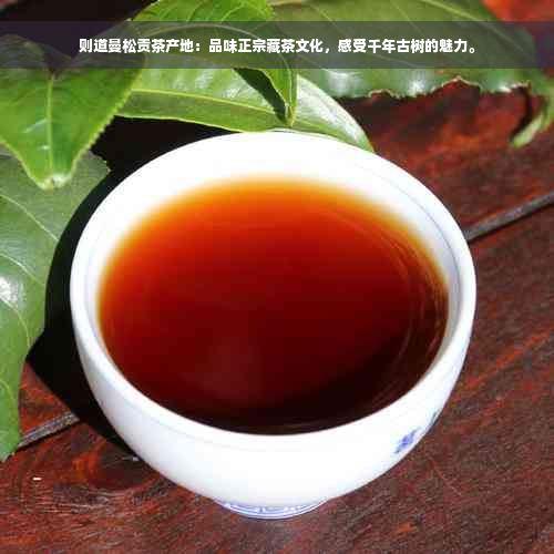 则道曼松贡茶产地：品味正宗藏茶文化，感受千年古树的魅力。