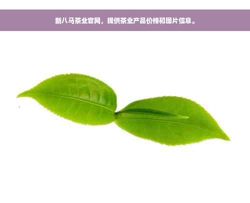 新八马茶业官网，提供茶业产品价格和图片信息。