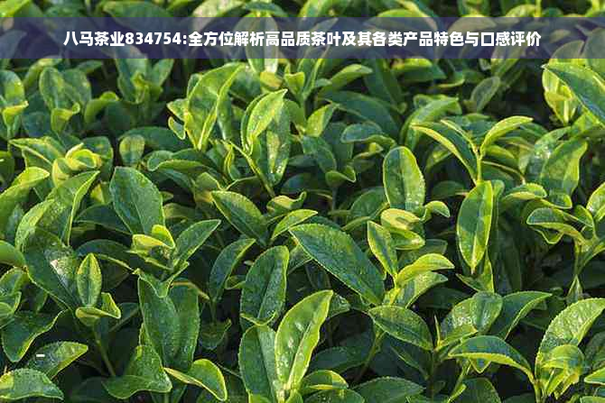 八马茶业834754:全方位解析高品质茶叶及其各类产品特色与口感评价