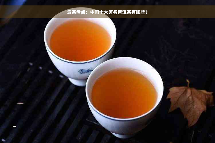 贡茶盘点：中国十大著名普洱茶有哪些？