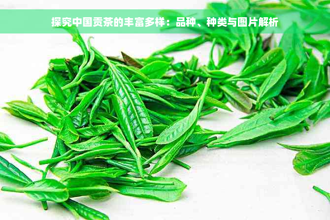 探究中国贡茶的丰富多样：品种、种类与图片解析