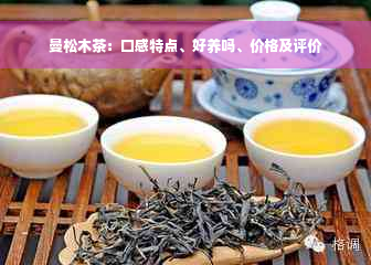 曼松木茶：口感特点、好养吗、价格及评价