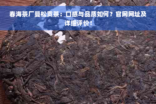 春海茶厂曼松贡茶：口感与品质如何？官网网址及详细评价！