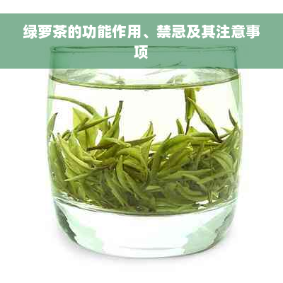绿萝茶的功能作用、禁忌及其注意事项