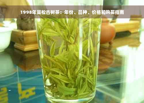 1998年曼松古树茶：年份、品种、价格和购买指南