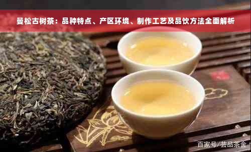 曼松古树茶：品种特点、产区环境、制作工艺及品饮方法全面解析