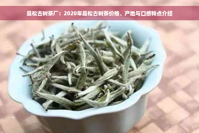 曼松古树茶厂：2020年曼松古树茶价格、产地与口感特点介绍