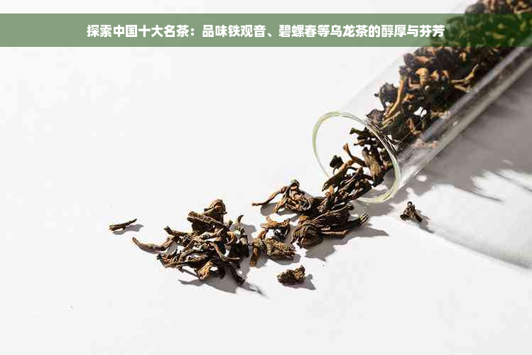 探索中国十大名茶：品味铁观音、碧螺春等乌龙茶的醇厚与芬芳