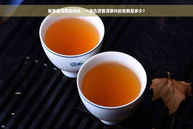 新掌握泡茶的功夫，一泡合适普洱茶叶的克数是多少？