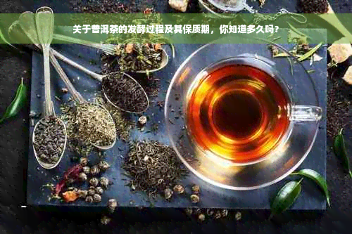 关于普洱茶的发酵过程及其保质期，你知道多久吗？