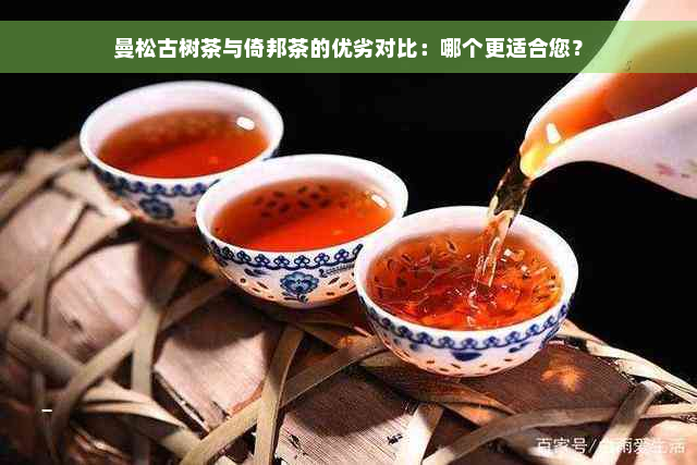 曼松古树茶与倚邦茶的优劣对比：哪个更适合您？