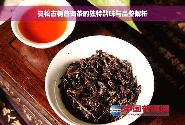 曼松古树普洱茶的独特韵味与品鉴解析