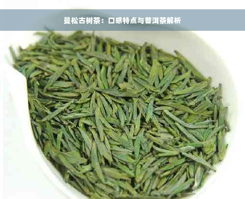 曼松古树茶：口感特点与普洱茶解析